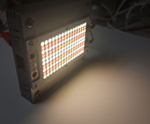 50K Hour Warranty Title 24 Compliant and Dim to Warm 3000K Dims to 1800K